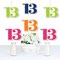 Big Dot of Happiness 13th Birthday - Cheerful Happy Birthday - Thirteen Shaped Decor DIY Colorful Thirteenth Birthday Party Essentials - Set of 20